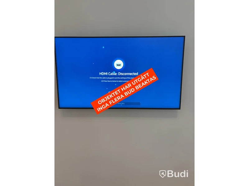 Skärm, Samsung, 65 tum