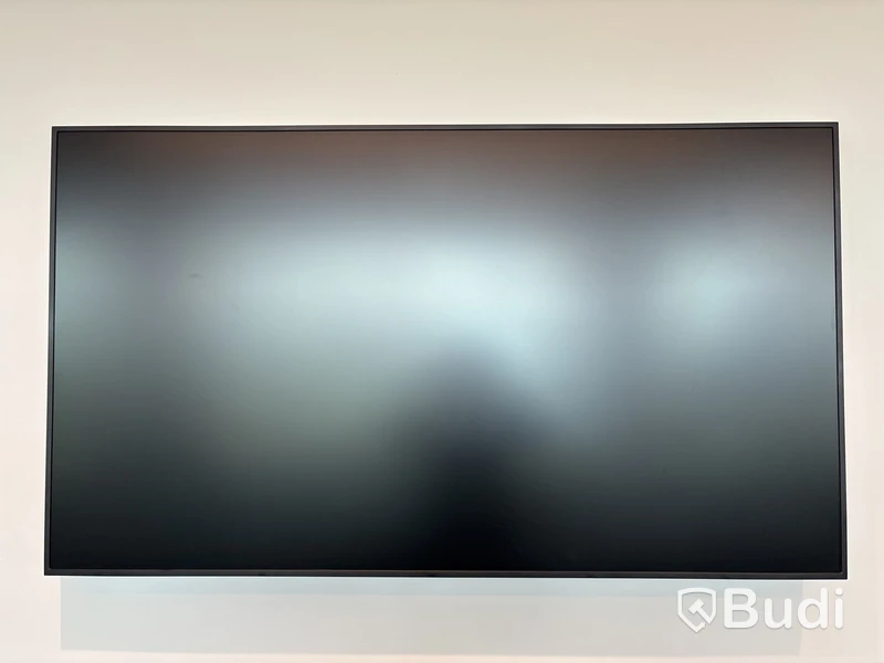 Skärm, Samsung, 65 tum