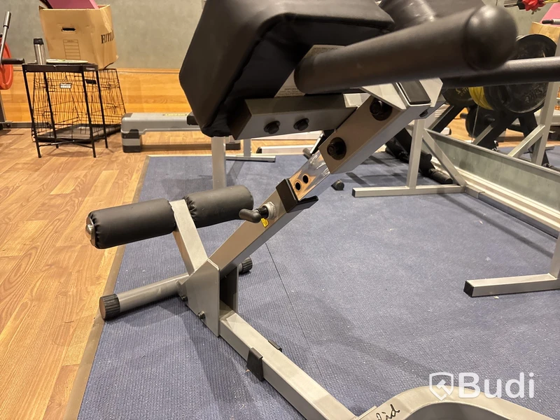 Träningsredskap för rygg Body Solid