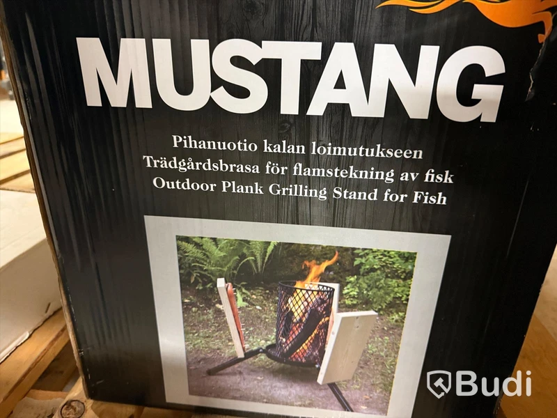 Ny Trädgårdsbrasa för flamstekning av fisk