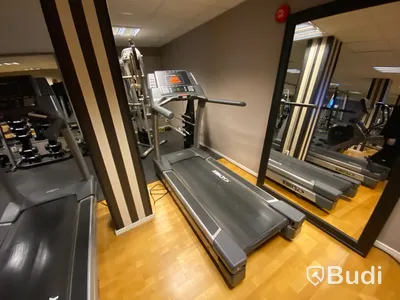 Löpband Cybex 750T. Omstartad