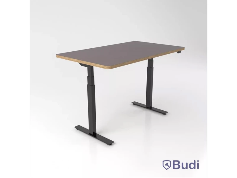 Höj- och sänkbart skrivbord Brizley Premium Plus, Mauve 4172