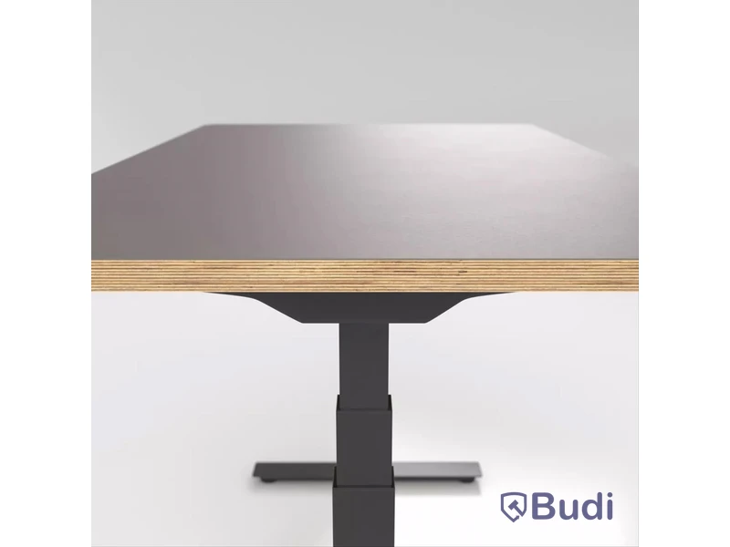 Höj- och sänkbart skrivbord Brizley Premium Plus, Mauve 4172