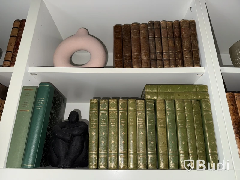 Äldre litteratur - uppslagsverk, lexikon, August Strindberg etc.