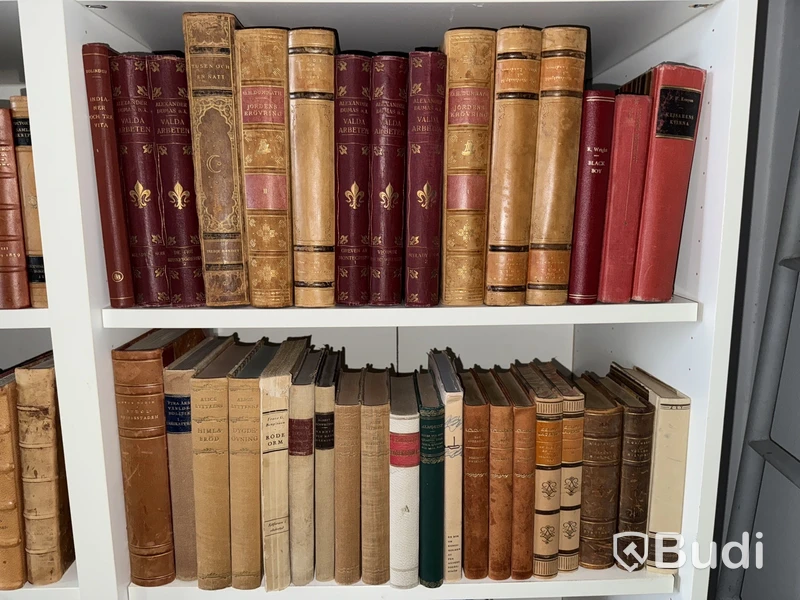 Äldre litteratur - uppslagsverk, lexikon, August Strindberg etc.
