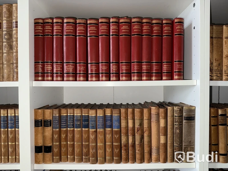 Äldre litteratur - uppslagsverk, lexikon, August Strindberg etc.