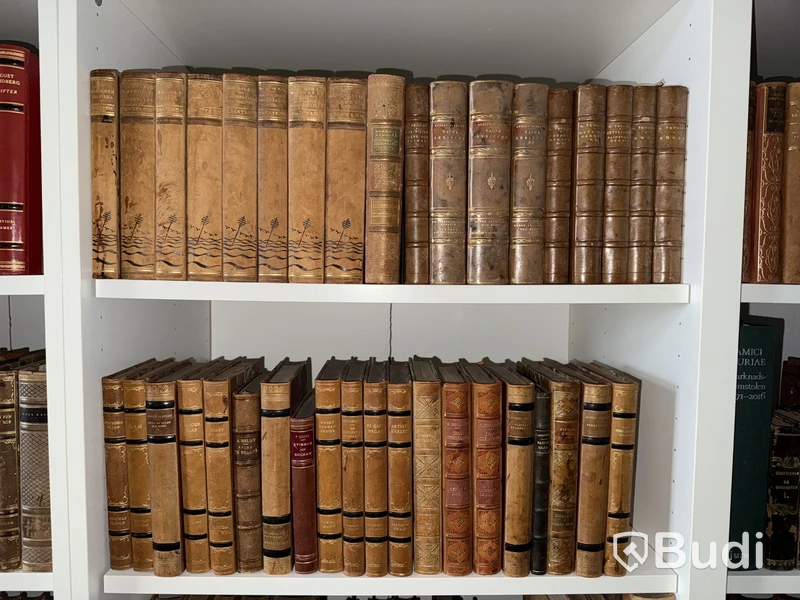 Äldre litteratur - uppslagsverk, lexikon, August Strindberg etc.