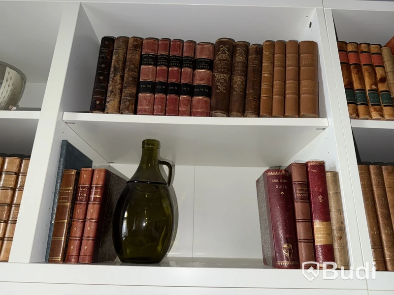 Äldre litteratur - uppslagsverk, lexikon, August Strindberg etc.