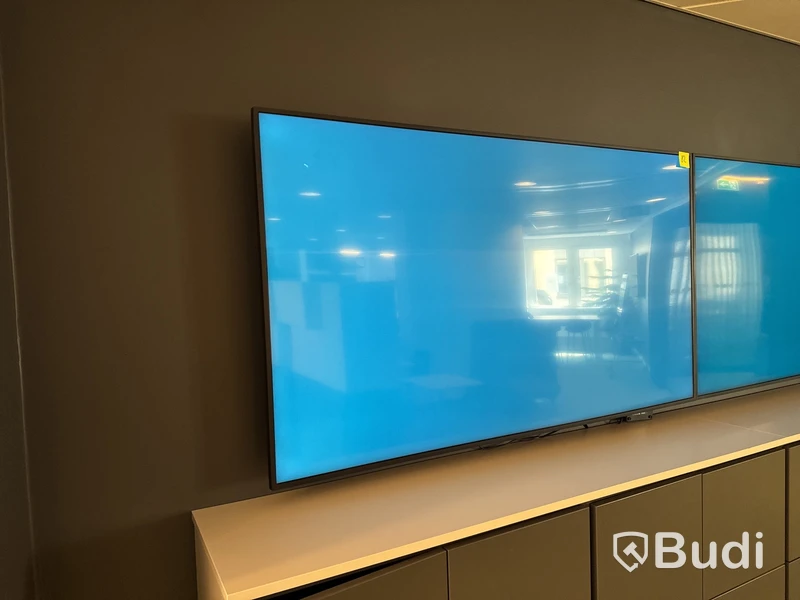 Skärm, Samsung, 65 tum