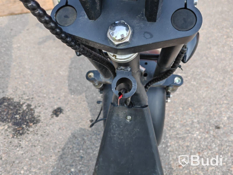 Elmoped Puviter Citycoco Scooter -2020