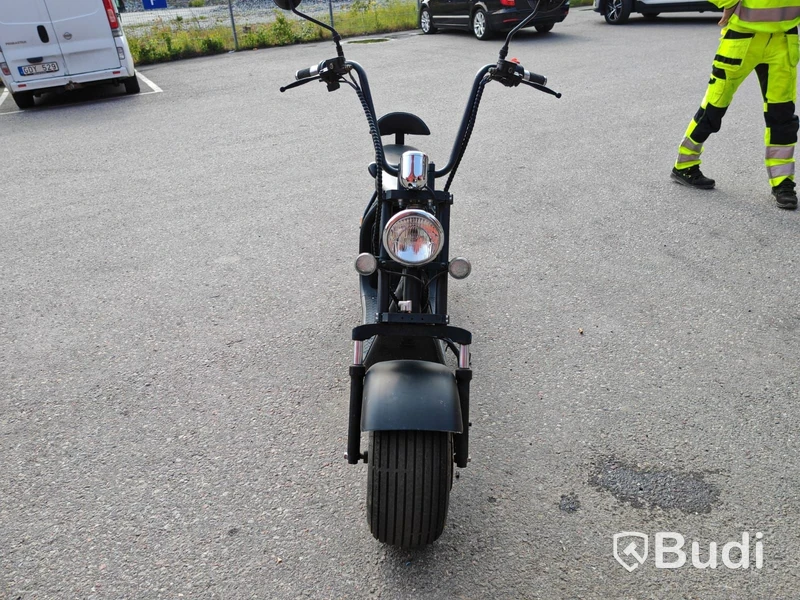 Elmoped Puviter Citycoco Scooter -2020