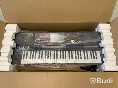 Korg Pa 700 Keyboard Professional Arranger