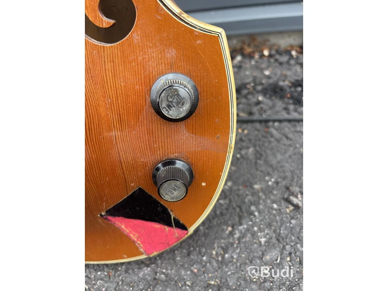 Basgitarr EKO Guitars