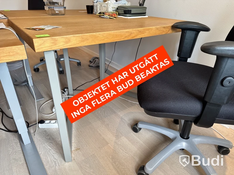 Skrivbord i ekfanér med kontorsstol och lampa