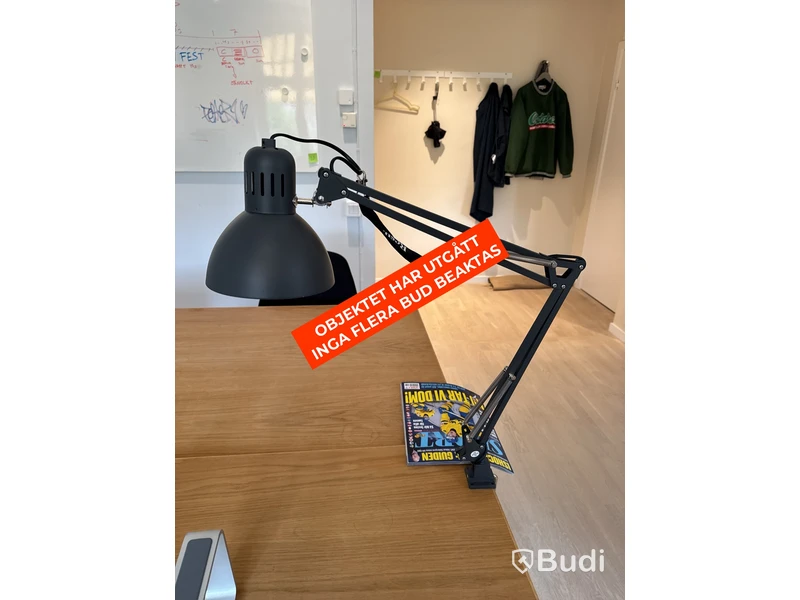 Höj- och sänkbart skrivbord i ekfanér med kontorsstol och lampa