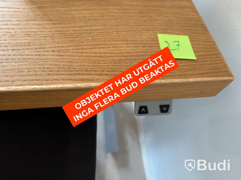 Höj- och sänkbart skrivbord i ekfanér med kontorsstol och lampa