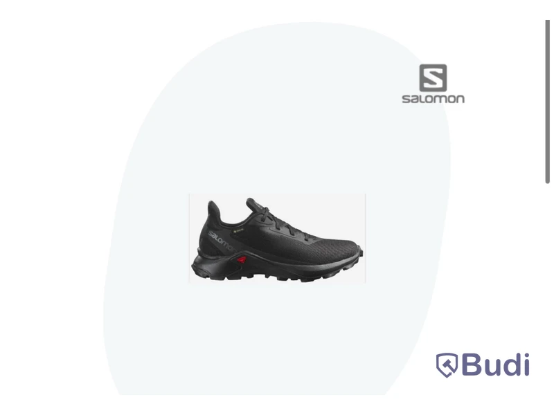 Fritidssko SALOMON Alphacross 4 Gore-Tex svart stl. 43