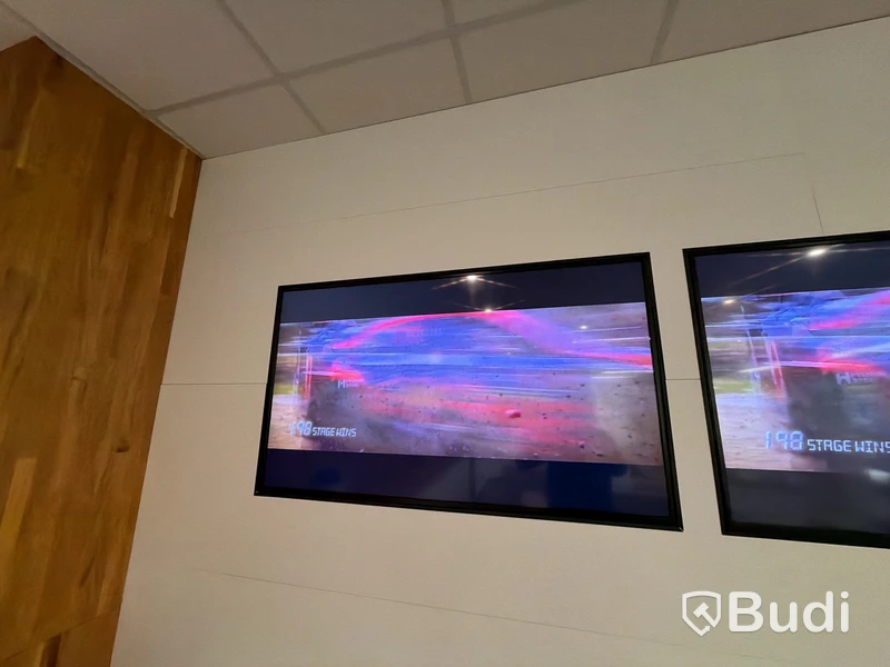 LG 55” display skärm