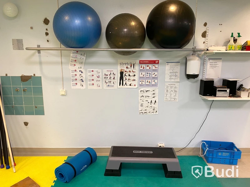Div träningsutrustning, stepbräda, pilatesbollar ink väggställning m.m.