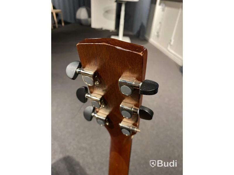 Akustiskt gitarr Cort