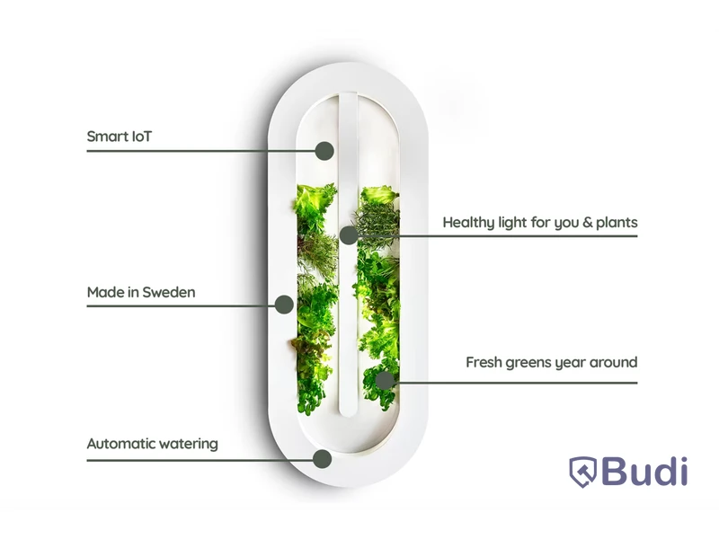 Hydroponic system Hollbium, The Loop