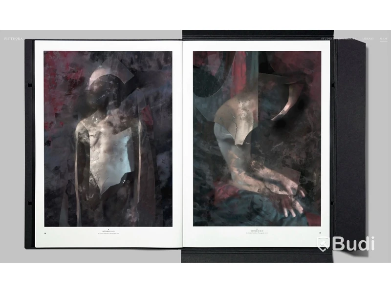 PLETHORA Magazine, Issue No. 7 - mapp med flera bilder