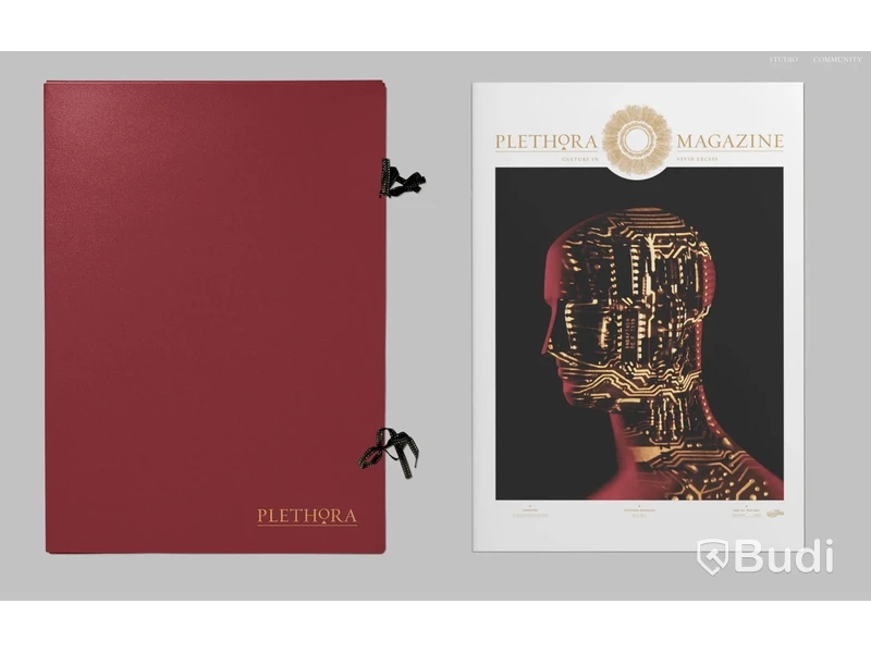 PLETHORA Magazine, Issue No. 7 - mapp med flera bilder