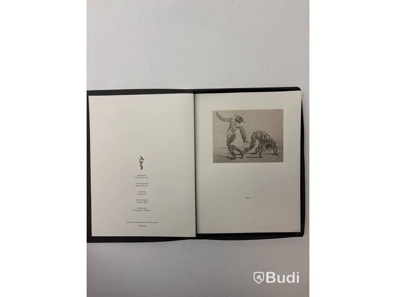 PLETHORA Magazine, BIZZARIE DE VARIE FIGURE - mapp med flera bilder