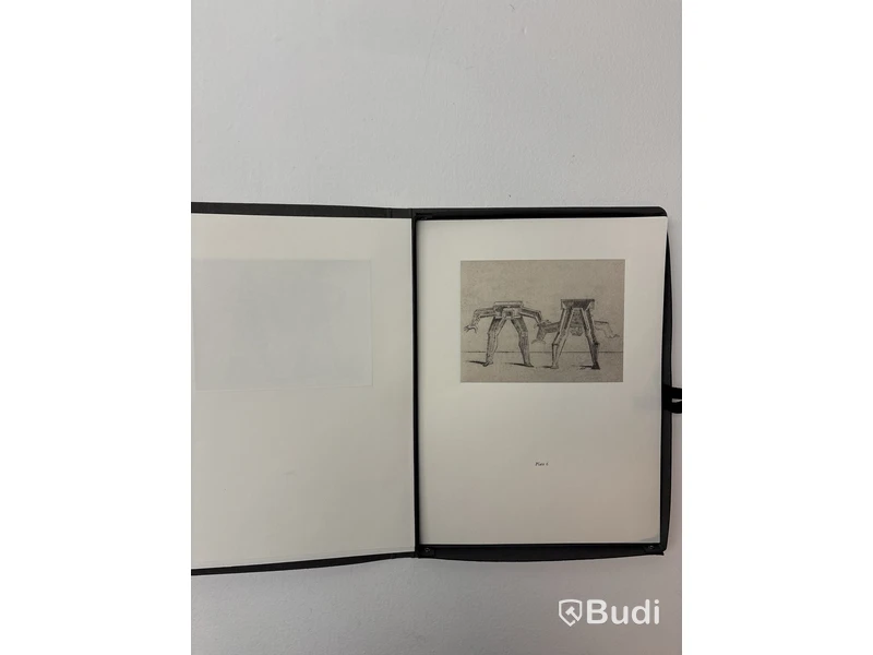 PLETHORA Magazine, BIZZARIE DE VARIE FIGURE - mapp med flera bilder