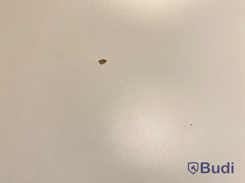 Höj- och sänkbart skrivbord Ikea Bekant, inkl. kontorsstol, skärm och skrivbordslampa