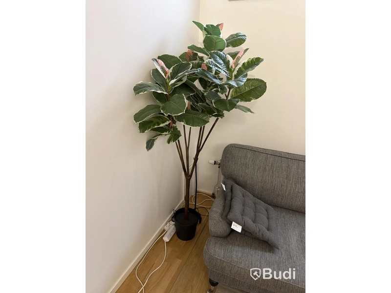 Soffgrupp grå med bord, lampa och konstväxt