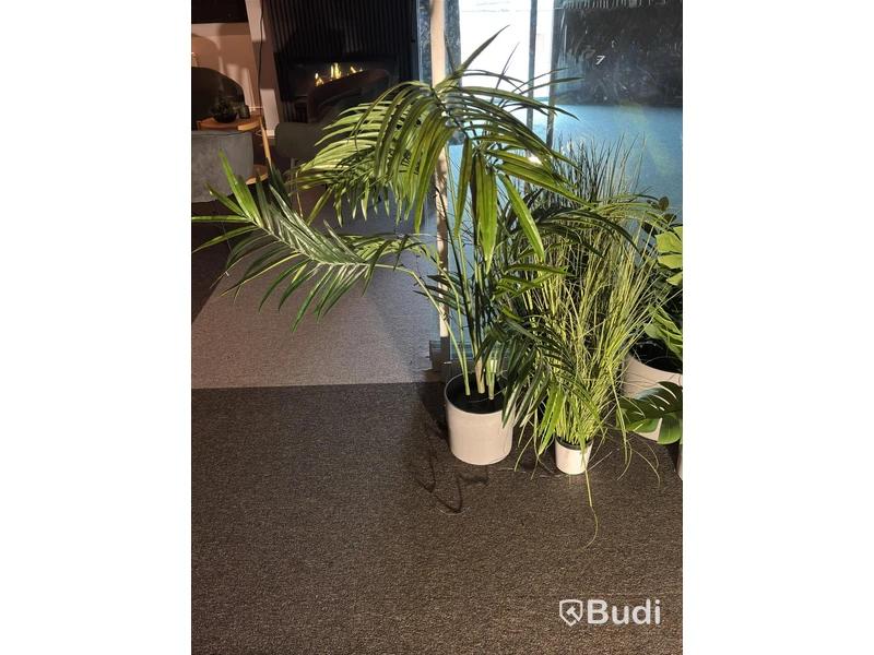 Lot of plants