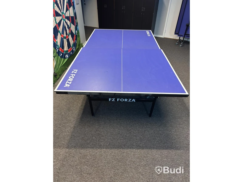 FZ Forza Table Tennis Table