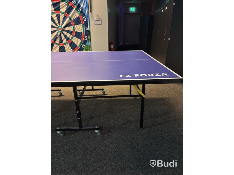 FZ Forza Table Tennis Table