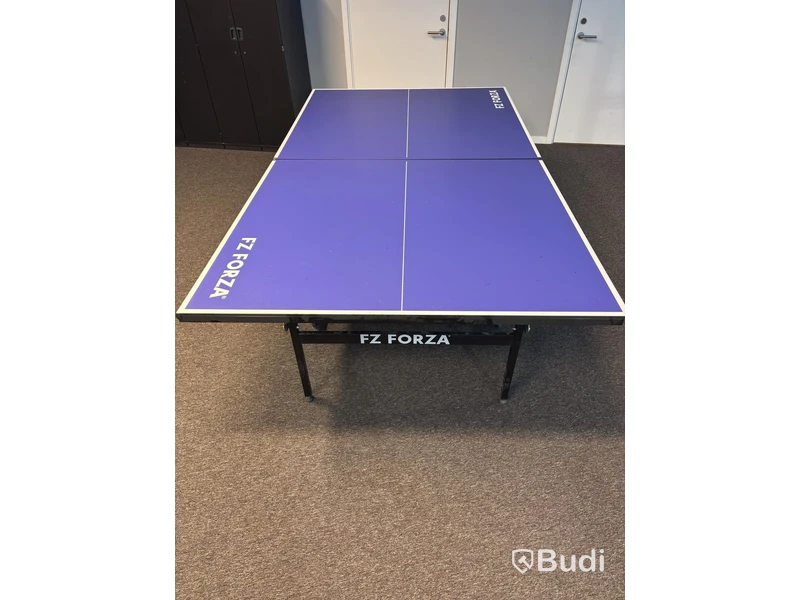 FZ Forza Table Tennis Table
