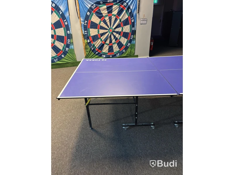 FZ Forza Table Tennis Table