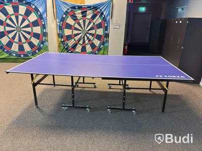 FZ Forza Table Tennis Table
