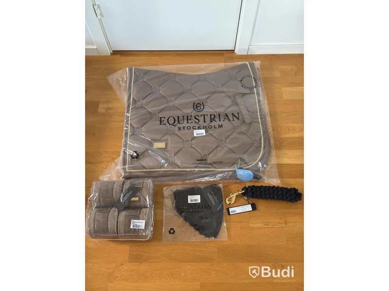 Dressage saddle pad, leg wraps and ear bonnet, Equestrian Stockholm, champagne