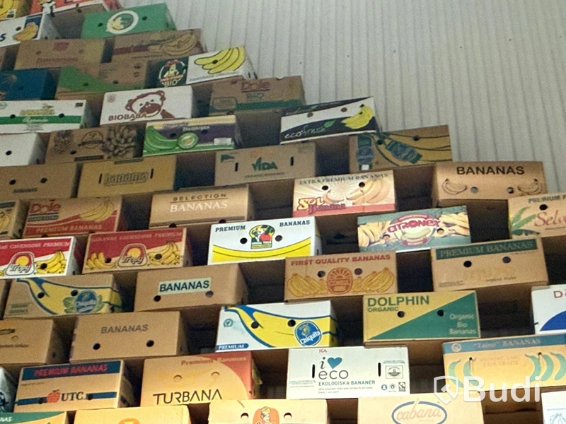 Samling banankartonger (stort unikt parti)
