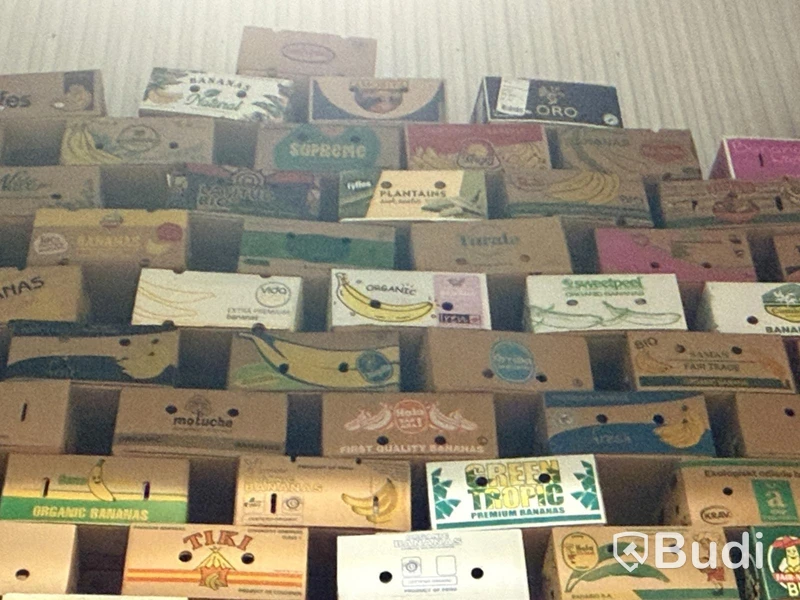 Samling banankartonger (stort unikt parti)