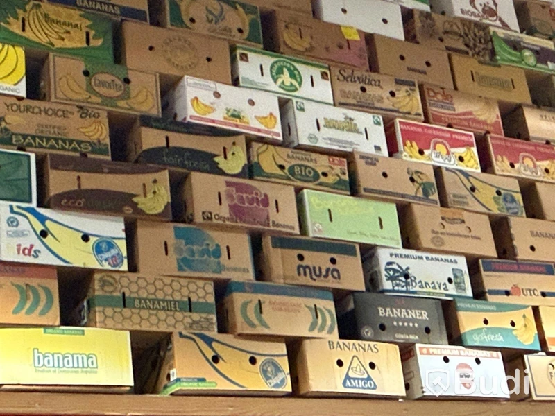 Samling banankartonger (stort unikt parti)