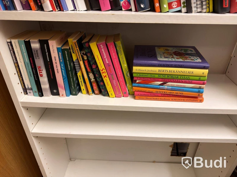 Hylla med div facklitteratur