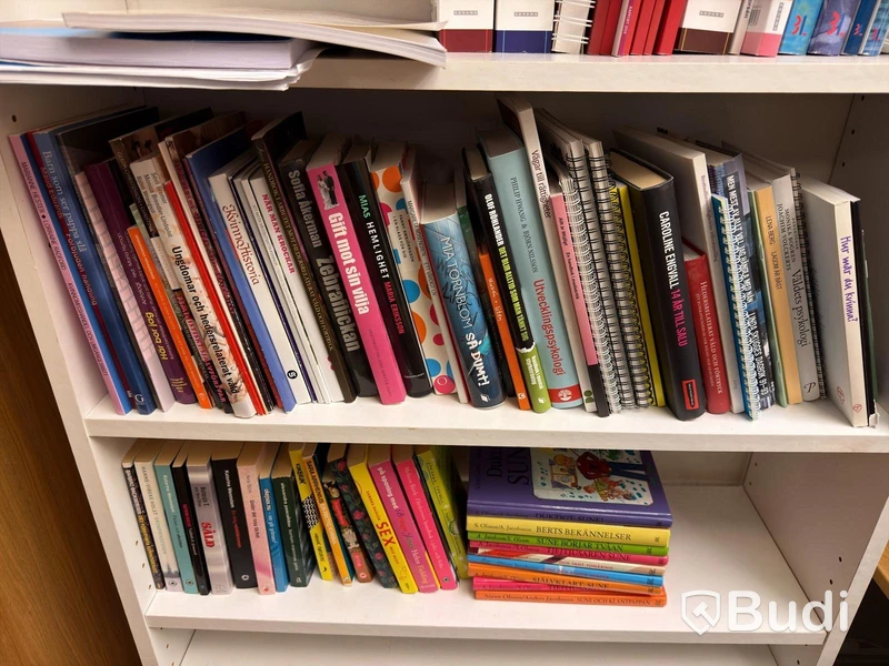 Hylla med div facklitteratur