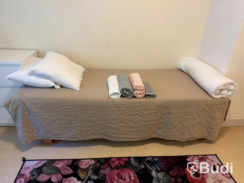 Furniture lot