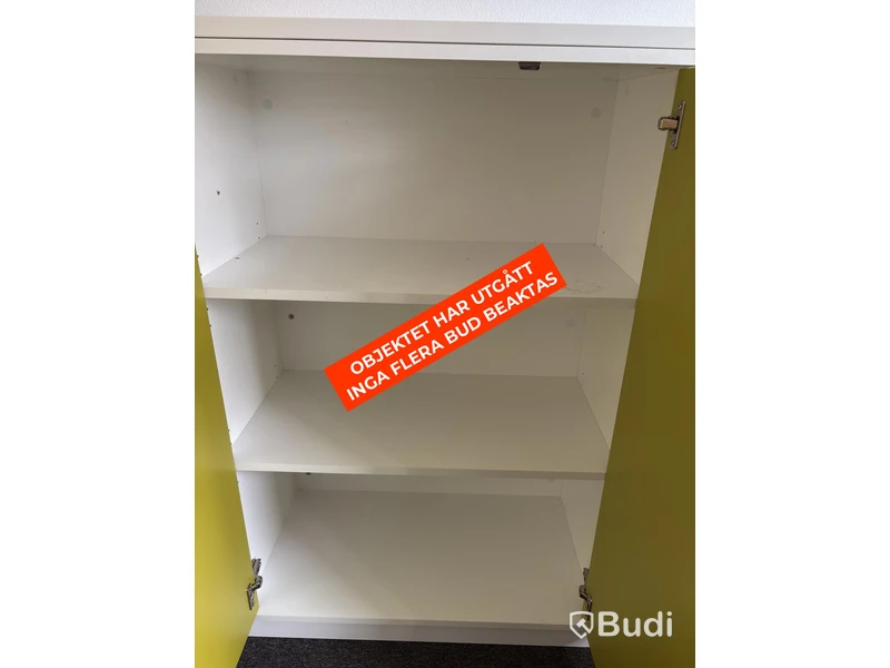 2 Vican document cabinets