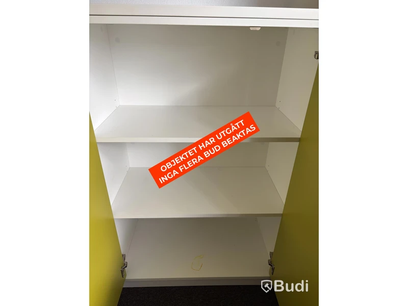 2 Vican document cabinets