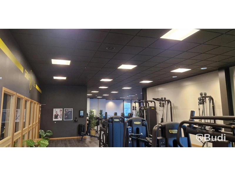 Complete suspended ceiling package incl. grid system – 50 m², black