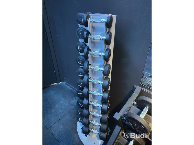 Complete dumbbell rack with Eleiko dumbbells, 1–10 kg