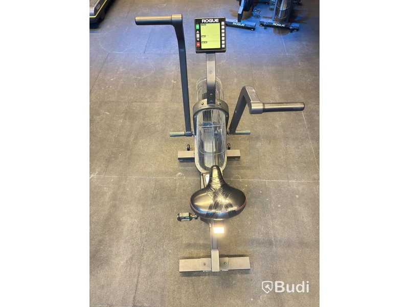 Rogue Echo Bike