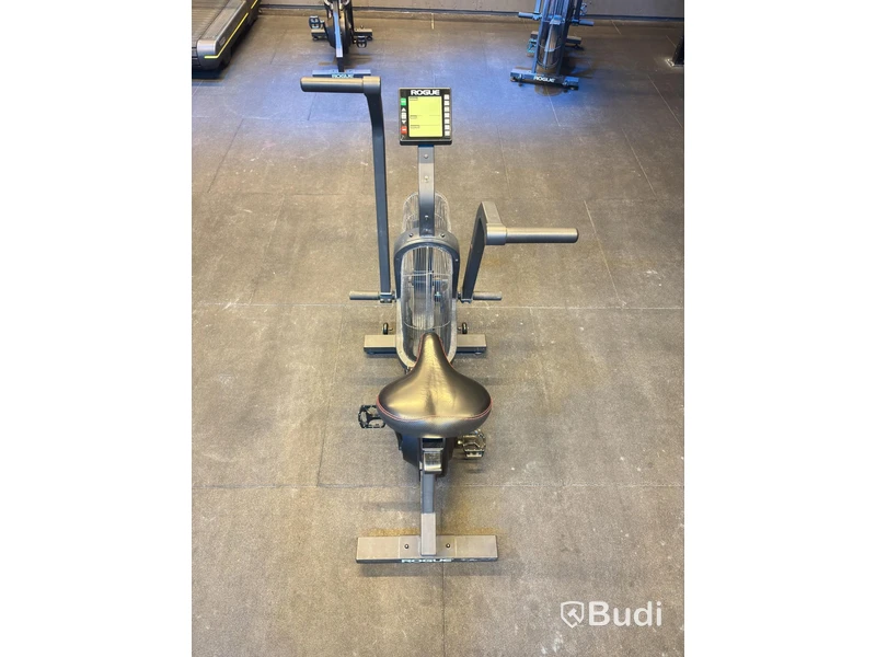 Rogue Echo Bike